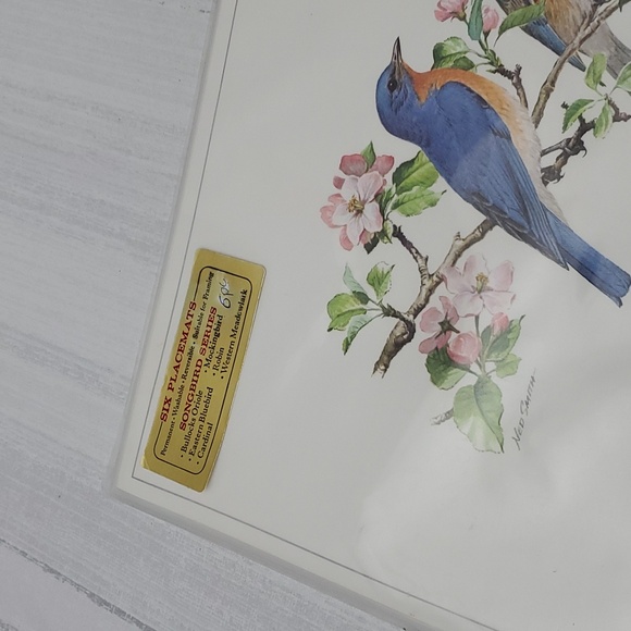 Ned Smith 6Pc Placemats SongBird Series - Picture 2 of 14